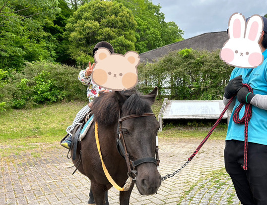 動物とふれあい体験♪のイメージ