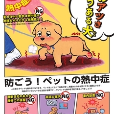 梅雨明け、ペットの熱中症に注意