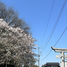 ４月のはじまりに