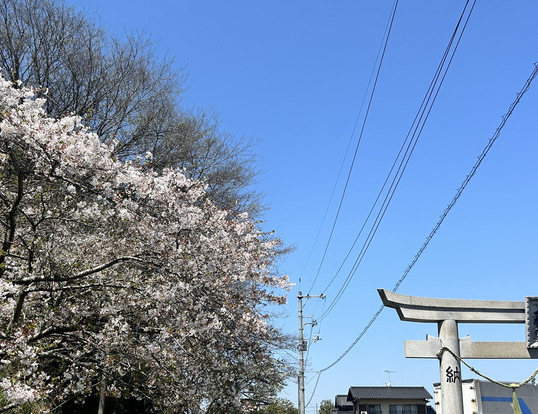 ４月のはじまりにのイメージ