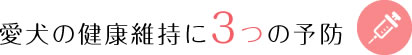 愛犬の健康維持に3つの予防