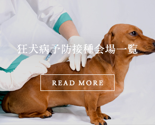 狂犬病予防接種会場一覧