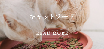 キャットフード