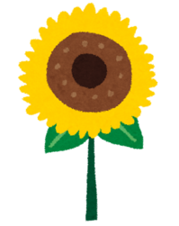 202574163458.png